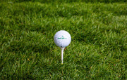 Fresh Patch Fairway