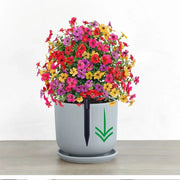 🔥 Last Day Sale Price - Turn Your Garden Into a Colorful Paradise