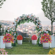 🔥 Last Day Sale Price - Turn Your Garden Into a Colorful Paradise