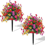 Last Day Sale Price  | Turn Your Garden Into a Colorful Paradise