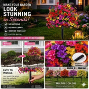 Last Day Sale Price  | Turn Your Garden Into a Colorful Paradise