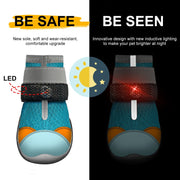 LED Light-Up Dog Boots