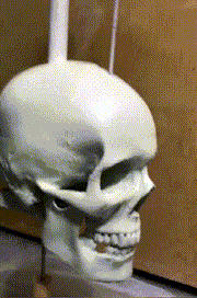 🔥 Iron Skull Whirligig - Garden Decor