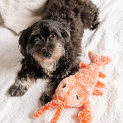 49% OFF🔥Floppy Lobster Interactive Dog Toy