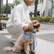 Piece Dog Walking Set – Harness, Collar, Bungee Leash & Poop Bag Dispenser ｜ Easy On & Off, Lightweight, Chafe-Free & No-Pull