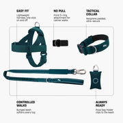 Piece Dog Walking Set – Harness, Collar, Bungee Leash & Poop Bag Dispenser ｜ Easy On & Off, Lightweight, Chafe-Free & No-Pull