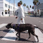 Piece Dog Walking Set – Harness, Collar, Bungee Leash & Poop Bag Dispenser ｜ Easy On & Off, Lightweight, Chafe-Free & No-Pull