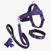 Piece Dog Walking Set – Harness, Collar, Bungee Leash & Poop Bag Dispenser ｜ Easy On & Off, Lightweight, Chafe-Free & No-Pull
