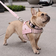Piece Dog Walking Set – Harness, Collar, Bungee Leash & Poop Bag Dispenser ｜ Easy On & Off, Lightweight, Chafe-Free & No-Pull