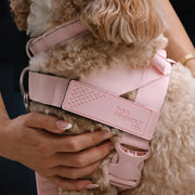 Piece Dog Walking Set – Harness, Collar, Bungee Leash & Poop Bag Dispenser ｜ Easy On & Off, Lightweight, Chafe-Free & No-Pull