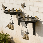 Wall-Mounted Metal Bird Bath – Antique Bronze Finish 🐦🛁🧱🏡