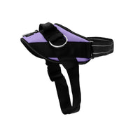 Side-Ring Gentle Guidance Harness