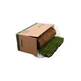 Fresh Patch Standard (Rolled)