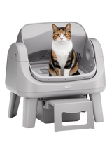 SoloScoop Litter Box (Buy 2)