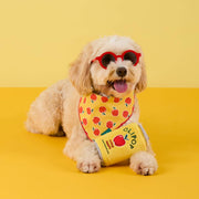 OLIPOP x TFD Crisp Apple Interactive Snuffle Dog Toy