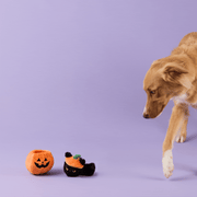 Trick-or-Treat Interactive Toy Set