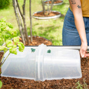 Dome Cloche Kit 