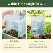 Dome Cloche Kit 