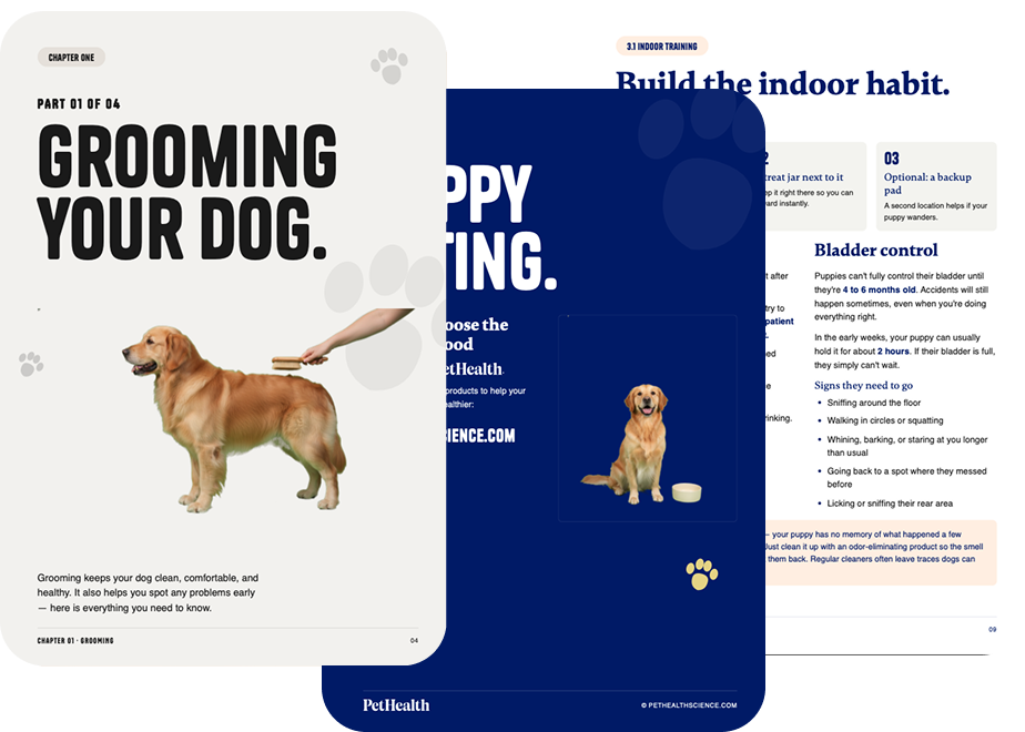 Best Food For Dogs Book (Instant Download)