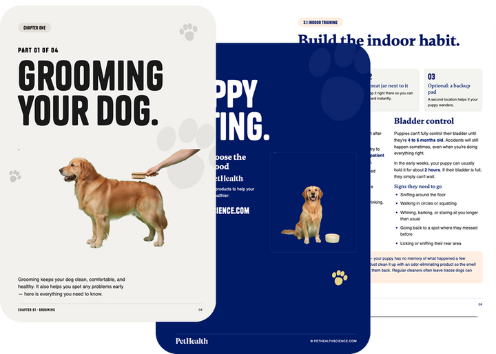 Dog Care Book (Instant Download)