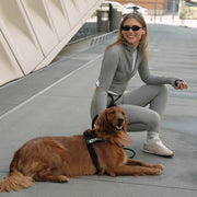 Hands Free Leash + Poop Bag Holder