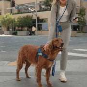 Hands Free Leash + Poop Bag Holder