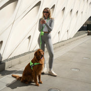 Hands Free Leash + Poop Bag Holder