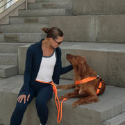 Hands Free Leash + Poop Bag Holder