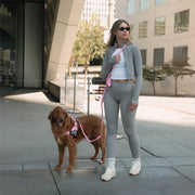 Hands Free Leash + Poop Bag Holder
