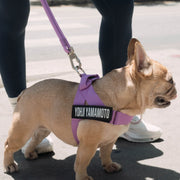 Hands Free Leash + Poop Bag Holder