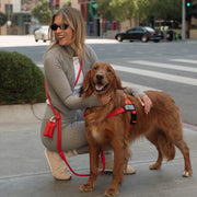Hands Free Leash + Poop Bag Holder