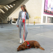 Hands Free Leash + Poop Bag Holder