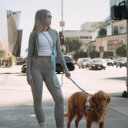 Hands Free Leash + Poop Bag Holder