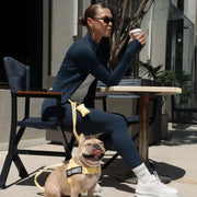 Hands Free Leash + Poop Bag Holder