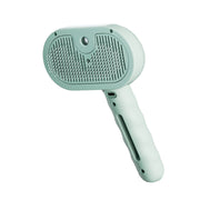 Premium Pet Brush with Steam Function