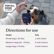 Probiotic Chews