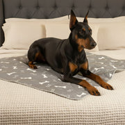 NovaPaw Pup Pad (1 Pack)