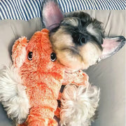 49% OFF🔥Floppy Lobster Interactive Dog Toy