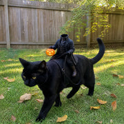 Halloween Headless Horseman Cosplay Costume for Pets