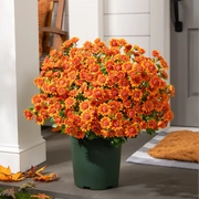 🔥 50% OFF Today Only 🔥 - Artificial Outdoor Mums Flowers - UV resistant. Waterproof. Windproof🌼
