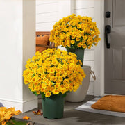 🔥 50% OFF Today Only 🔥 - Artificial Outdoor Mums Flowers - UV resistant. Waterproof. Windproof🌼