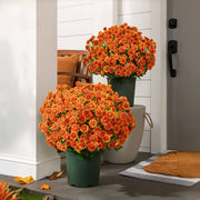 🔥 50% OFF Today Only 🔥 - Artificial Outdoor Mums Flowers - UV resistant. Waterproof. Windproof🌼