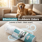 No-Rinse Fabric Cleaner Foam